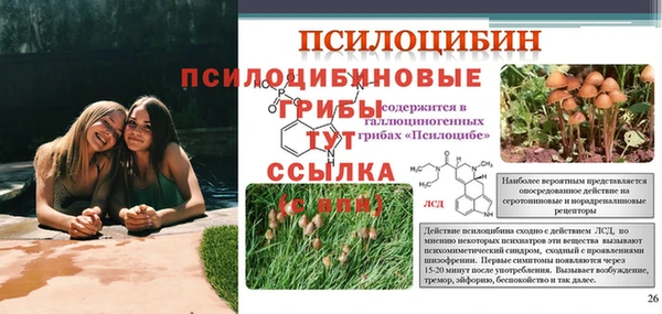 синтетический гашиш Карталы