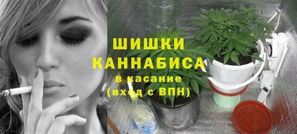ПСИЛОЦИБИНОВЫЕ ГРИБЫ Карпинск