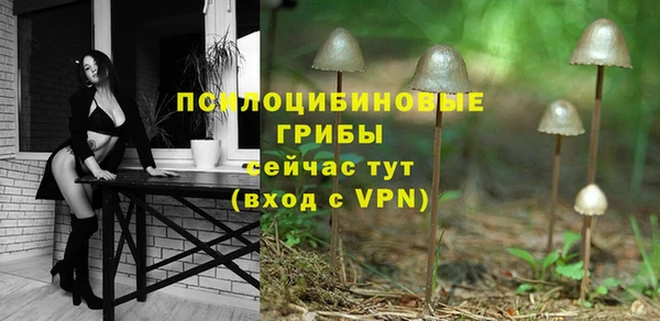 ПСИЛОЦИБИНОВЫЕ ГРИБЫ Карпинск